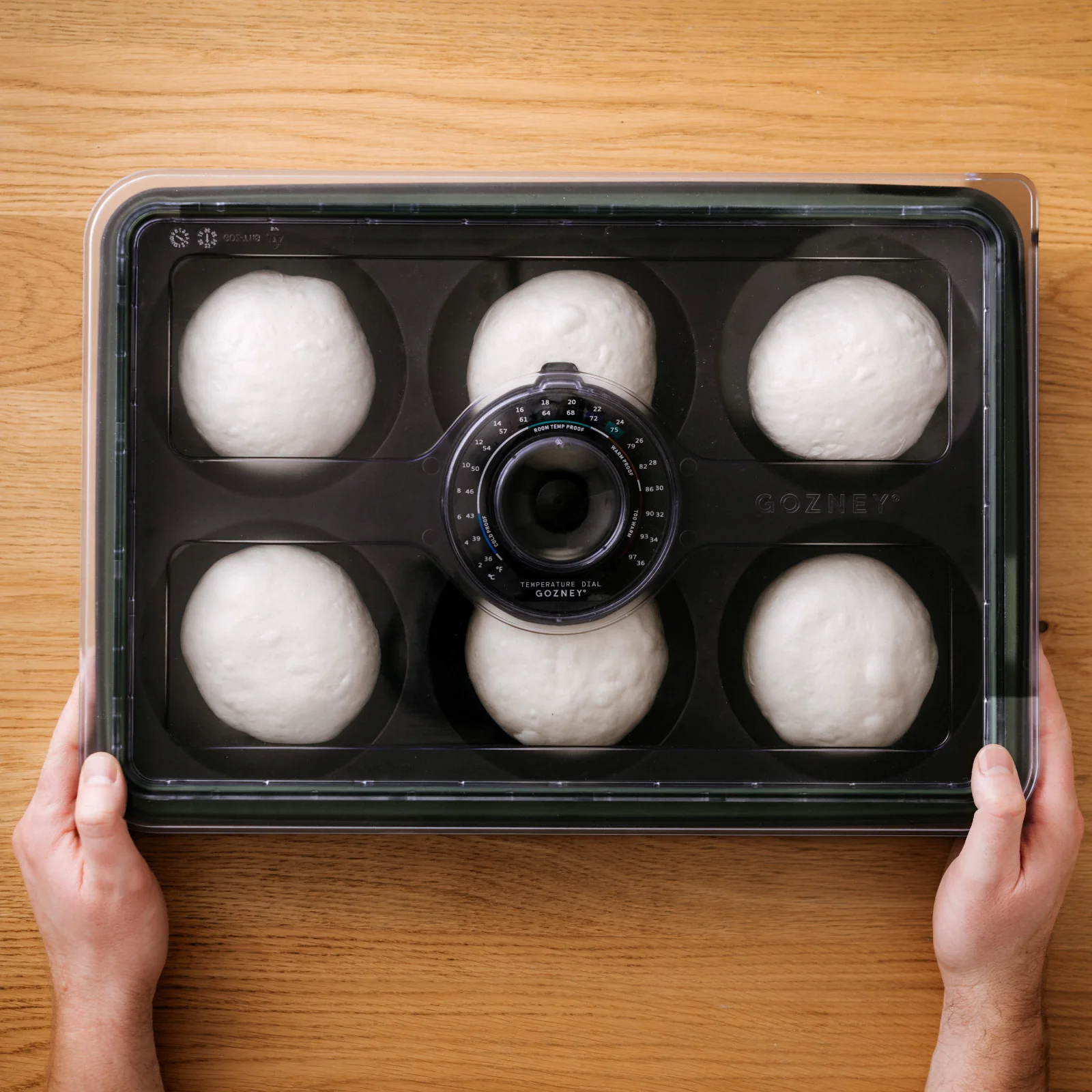Dough Tray - Image 4